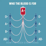 أنواع فصائل الدم المتوافقة مع بعضها