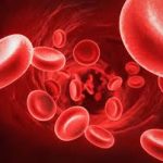 All about Thalassemia